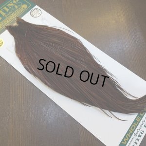 画像2: 【WHITING】Hebert ROOSTER CAPE Silver grade - Furnace