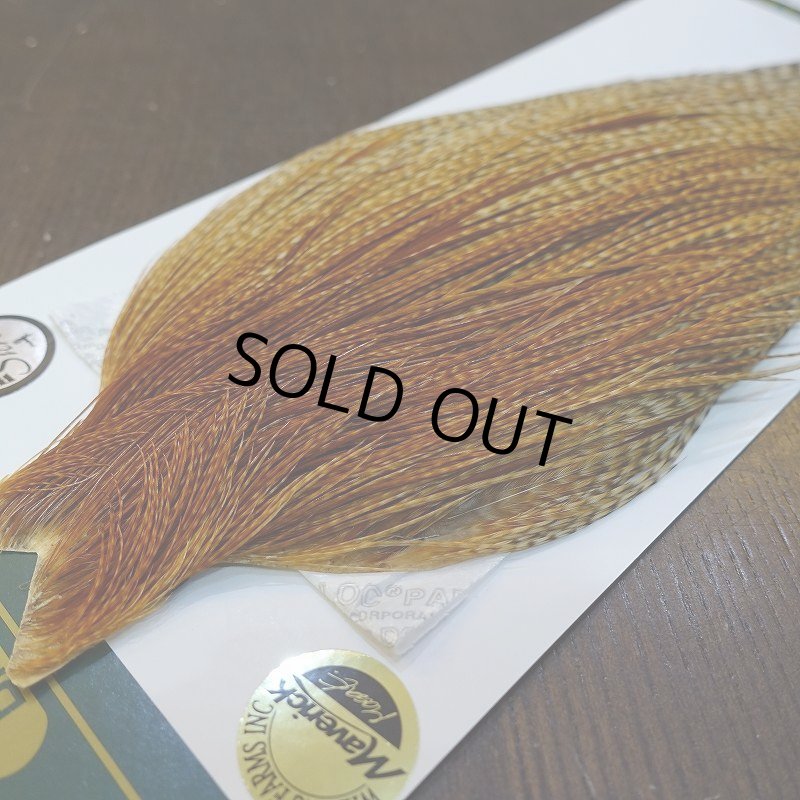 画像4: 【WHITING】Hebert ROOSTER CAPE Silver grade - Barred Medium Ginger (4)