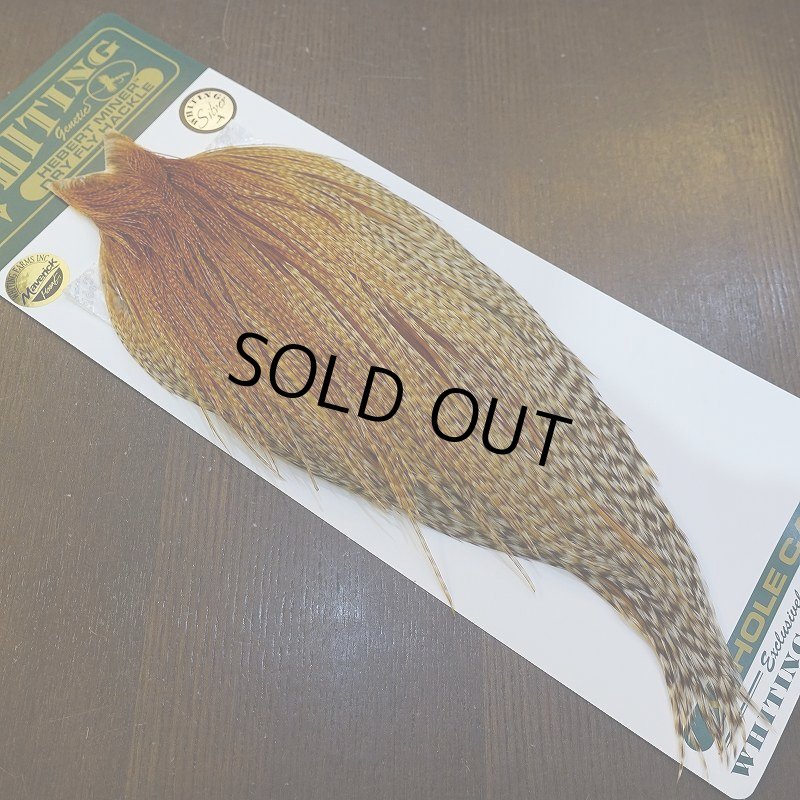 画像2: 【WHITING】Hebert ROOSTER CAPE Silver grade - Barred Medium Ginger (2)