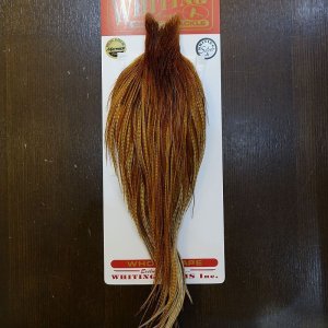 画像1: 【Whiting】ROOSTER CAPE Silver Grade - BARRED DK GINGER