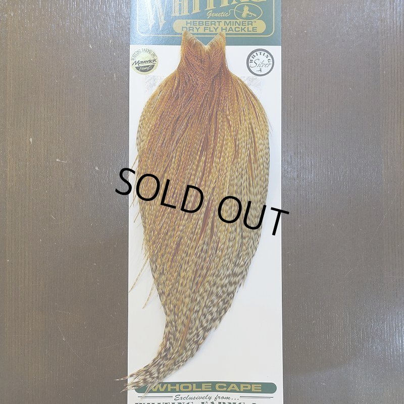 画像1: 【WHITING】Hebert ROOSTER CAPE Silver grade - Barred Medium Ginger (1)