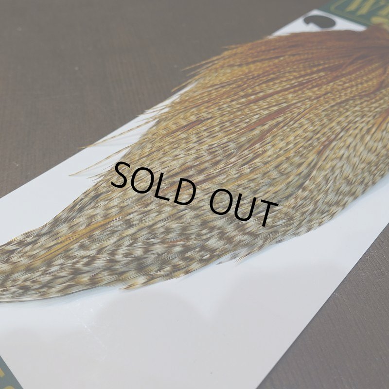 画像6: 【WHITING】Hebert ROOSTER CAPE Silver grade - Barred Medium Ginger (6)