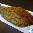 画像5: 【WHITING】Hebert ROOSTER CAPE Silver grade - Barred Medium Ginger (5)