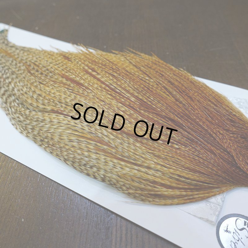 画像5: 【WHITING】Hebert ROOSTER CAPE Silver grade - Barred Medium Ginger (5)