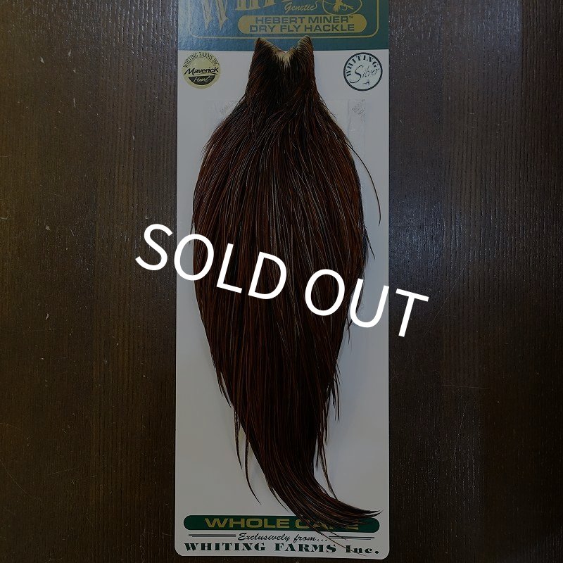 画像1: 【WHITING】Hebert ROOSTER CAPE Silver grade - Furnace (1)