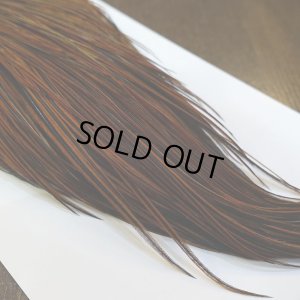 画像3: 【WHITING】Hebert ROOSTER CAPE Silver grade - Furnace