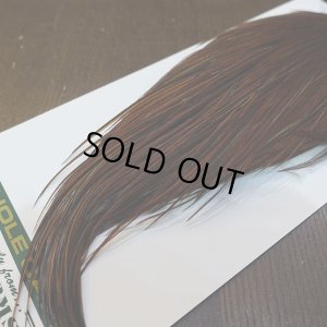 画像6: 【WHITING】Hebert ROOSTER CAPE Silver grade - Furnace