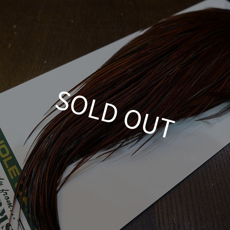 画像6: 【WHITING】Hebert ROOSTER CAPE Silver grade - Furnace (6)