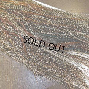 画像4: 【WHITING】ROOSTER SADDLE Bronze Grade - Cree #18-20