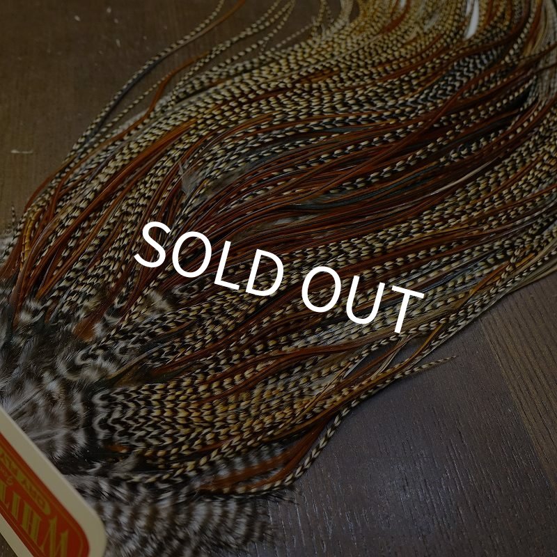 画像5: 【WHITING】ROOSTER SADDLE Silver Grade - Cree (5)