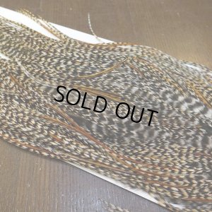 画像5: 【WHITING】Hebert Pro Grade Rooster Saddle - Cree #16