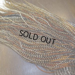 画像6: 【WHITING】ROOSTER SADDLE Bronze Grade - Cree #18-20