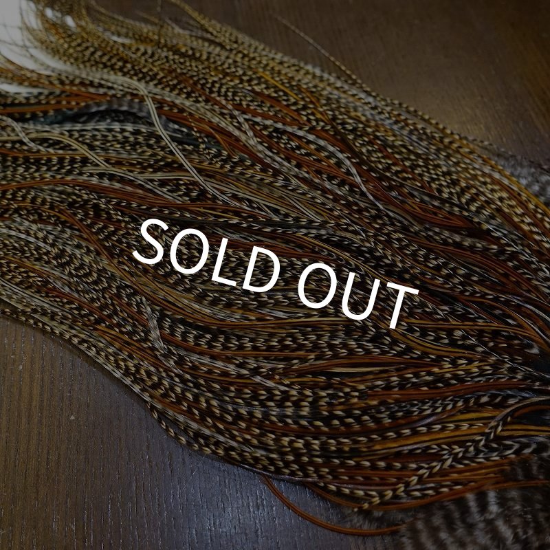 画像6: 【WHITING】ROOSTER SADDLE Bronze Grade - Cree #18-20 (6)