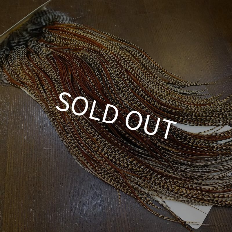 画像2: 【WHITING】ROOSTER SADDLE Silver Grade - Cree (2)