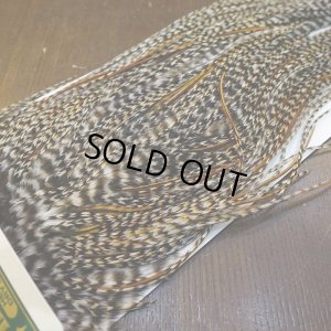 画像4: 【WHITING】Hebert Pro Grade Rooster Saddle - Cree #16