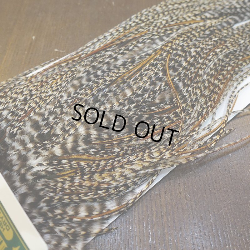 画像4: 【WHITING】Hebert Pro Grade Rooster Saddle - Cree #16 (4)