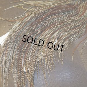 画像7: 【WHITING】ROOSTER SADDLE Silver Grade - Cree