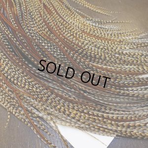 画像3: 【WHITING】ROOSTER SADDLE Silver Grade - Cree