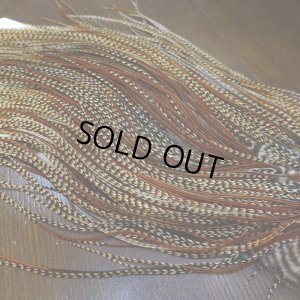 画像6: 【WHITING】ROOSTER SADDLE Silver Grade - Cree