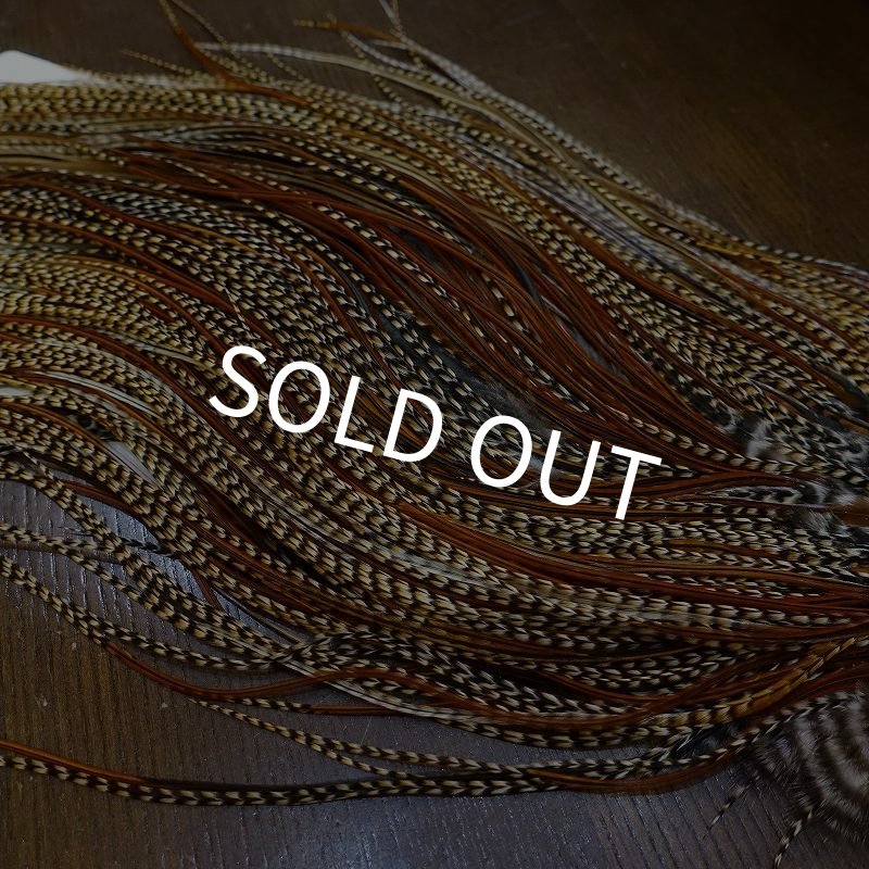 画像6: 【WHITING】ROOSTER SADDLE Silver Grade - Cree (6)