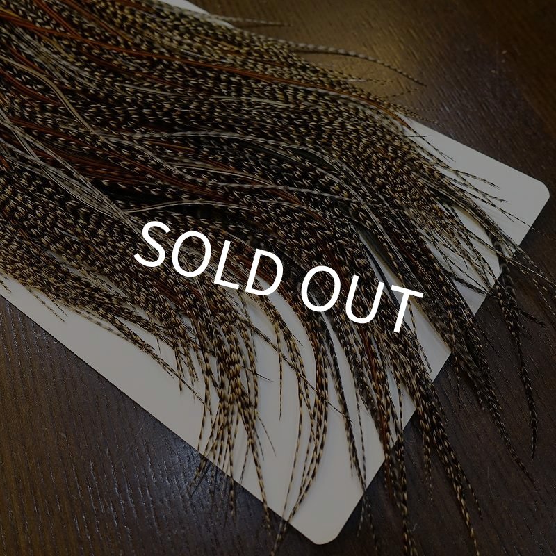 画像3: 【WHITING】ROOSTER SADDLE Bronze Grade - Cree #18-20 (3)