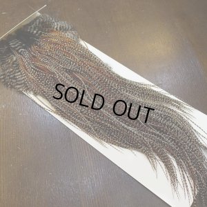 画像2: 【WHITING】ROOSTER SADDLE Bronze Grade - Cree #18-20