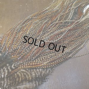 画像5: 【WHITING】ROOSTER SADDLE Bronze Grade - Cree #18-20