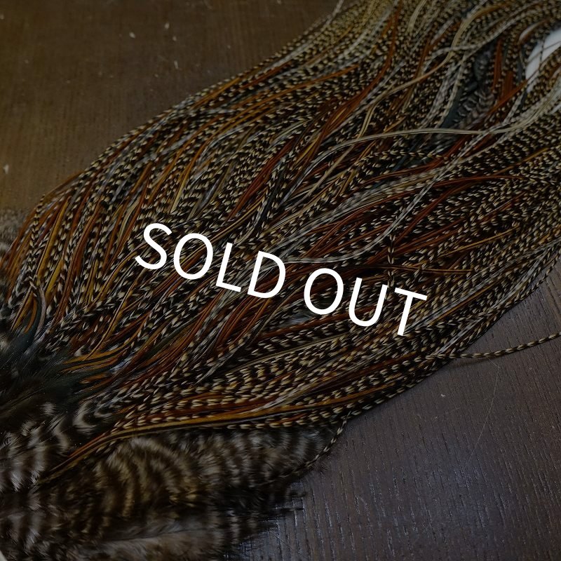 画像5: 【WHITING】ROOSTER SADDLE Bronze Grade - Cree #18-20 (5)