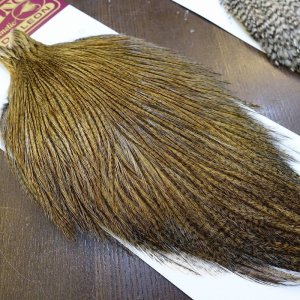 画像3: 【WHITING】Coq de Leon ROOSTER CAPE