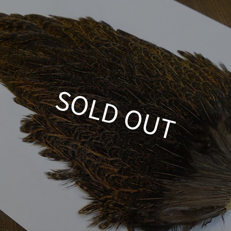 画像3: 【ANGLE】ラージ ソフトハックル ヘンサドル - BrownSpeckled (3)