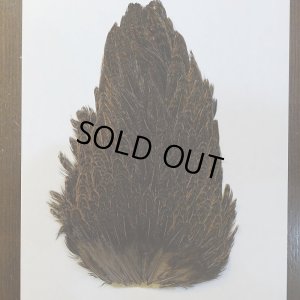 画像2: 【ANGLE】ラージ ソフトハックル ヘンサドル - BrownSpeckled