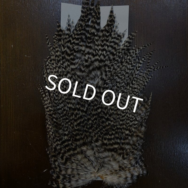 画像2: 【HARELINE】Grizzly Streamer Saddle (2)