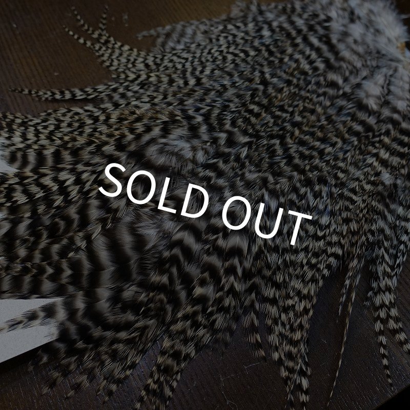 画像4: 【HARELINE】Grizzly Streamer Saddle (4)