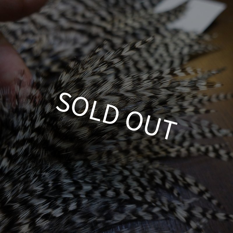 画像5: 【HARELINE】Grizzly Streamer Saddle (5)