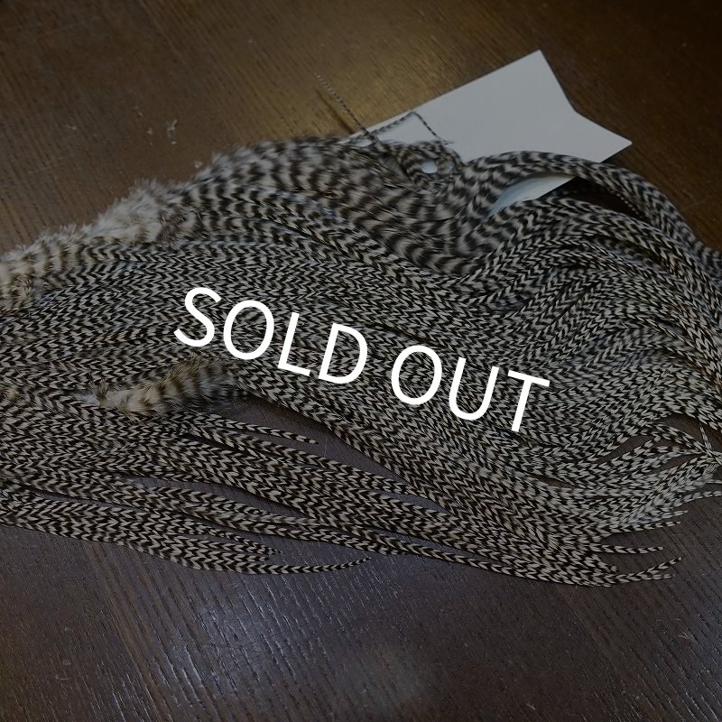 画像3: 【HARELINE】Half Grizzly Saddle (3)