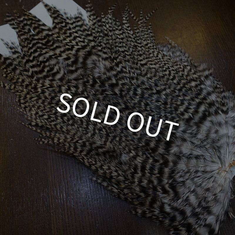 画像3: 【HARELINE】Grizzly Streamer Saddle (3)