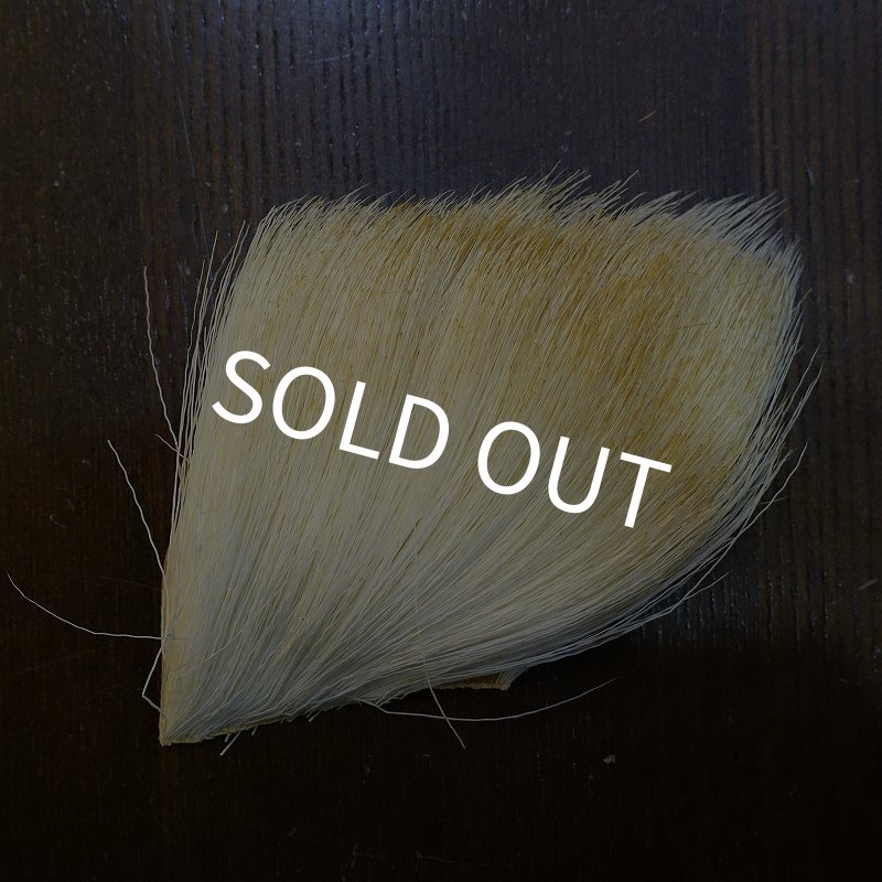 画像2: 【CANAL】アンテロープ (2)