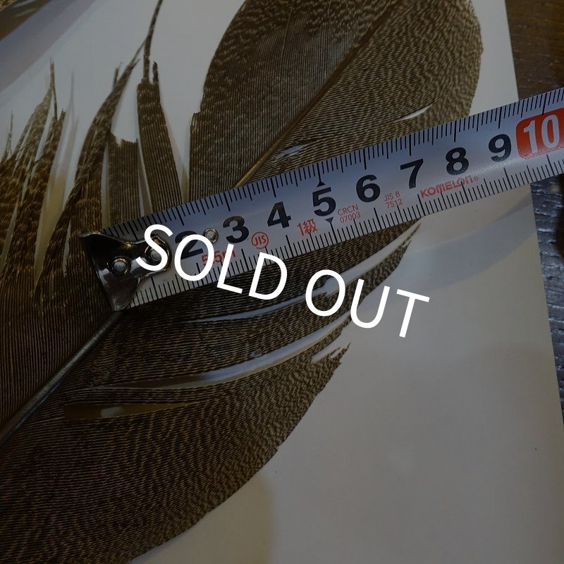 画像6: 【CANAL】Kori Bustard XL(スペックルドバスタード) No.2 (6)