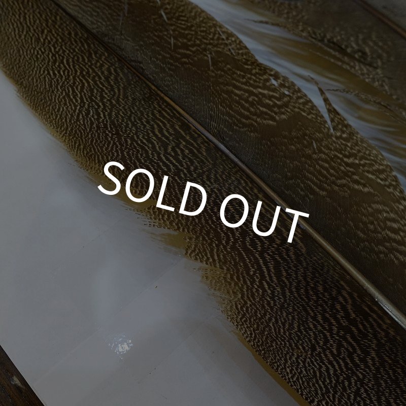 画像3: 【CANAL】Kori Bustard XL(スペックルドバスタード) No.2 (3)