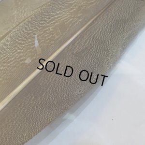 画像3: 【CANAL】Kori Bustard XL(スペックルドバスタード) No.1