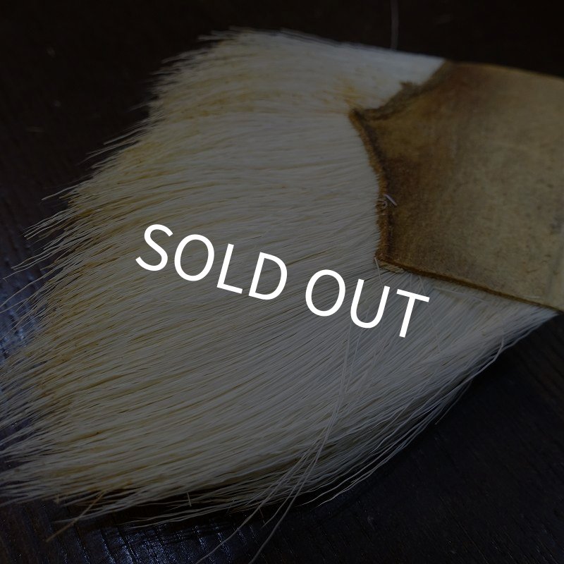 画像3: 【CANAL】アンテロープ (3)