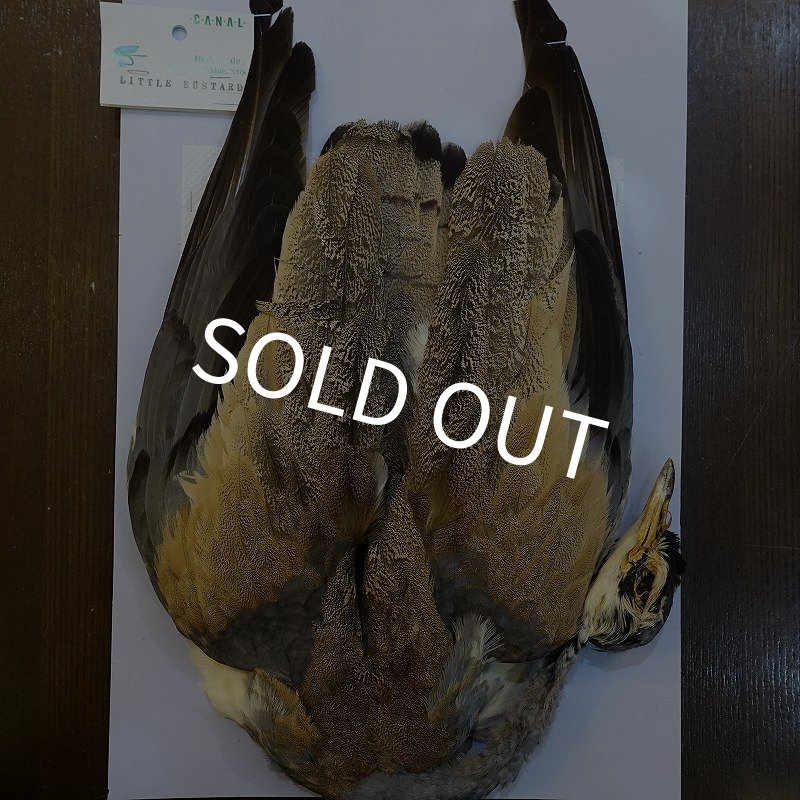 画像1: 【CANAL】LITTLE BUSTARD コンプリート (1)