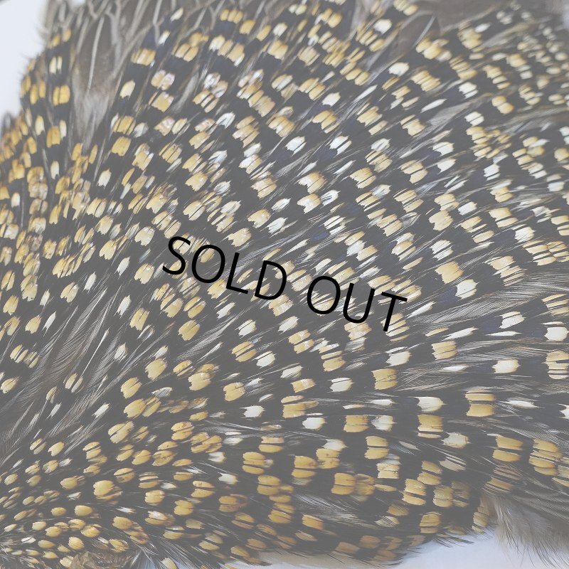 画像4: 【CANAL】ジャングルコック No.5 (4)