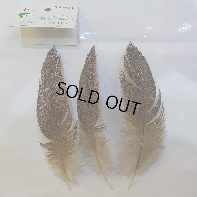 画像2: 【CANAL】Kori Bustard(スペックルドバスタード) XSサイズ (2)