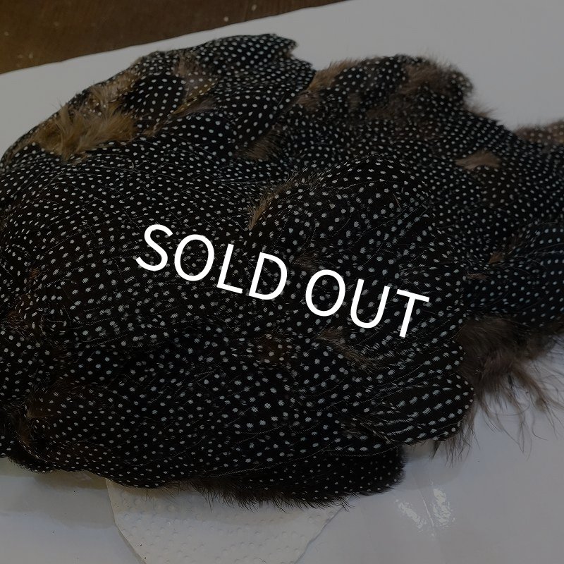 画像4: 【CANAL】Crested GUIDEA ボディ (4)