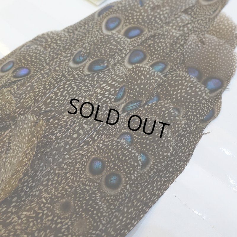 画像3: 【CANAL】GREY PEACOCK PHEATHER(グレイピーコック) (3)