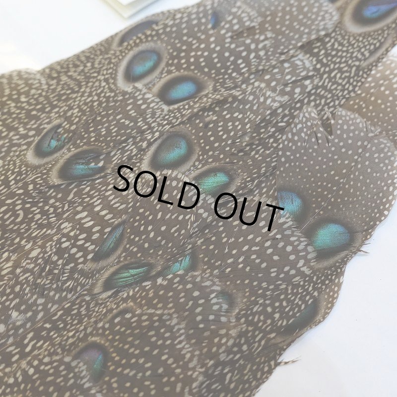 画像4: 【CANAL】GREY PEACOCK PHEATHER(グレイピーコック) (4)