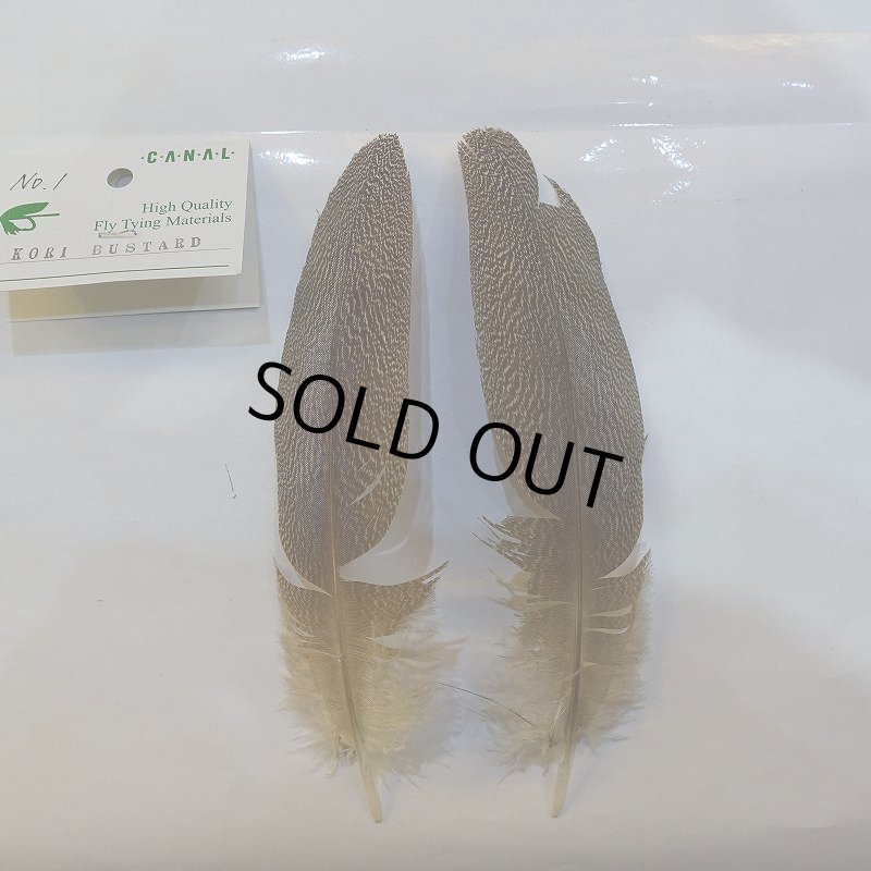 画像1: 【CANAL】Kori Bustard(スペックルドバスタード) XSサイズ (1)