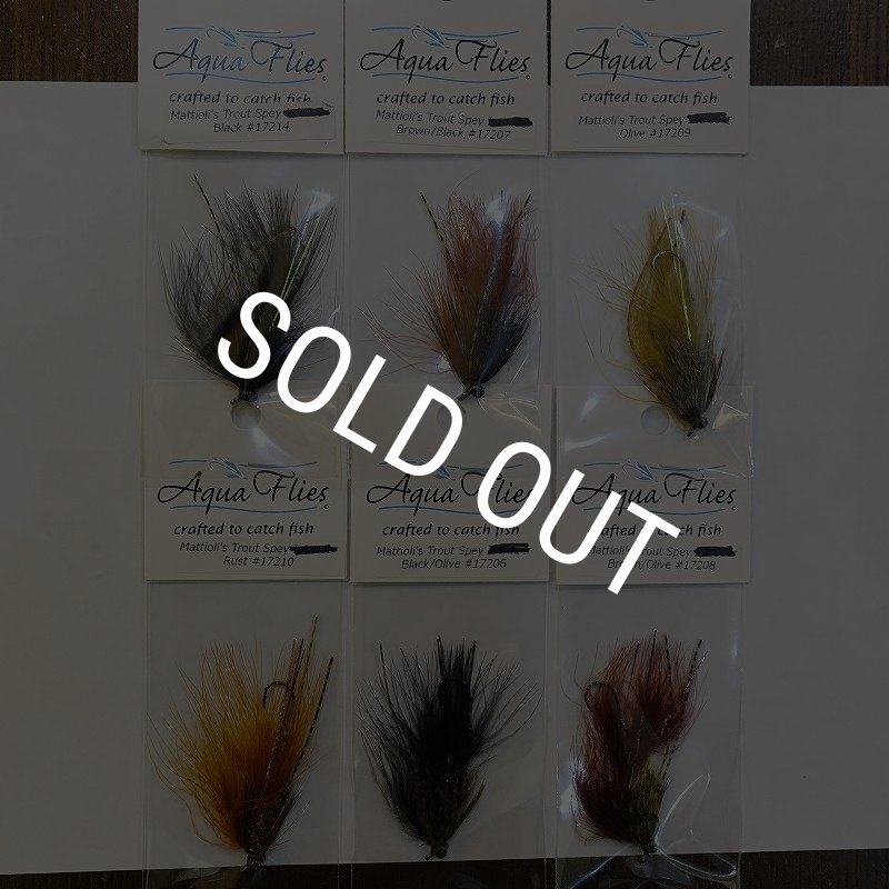 画像7: 【Aqua Flies】Mattioli's Trout Spey Bugger (7)