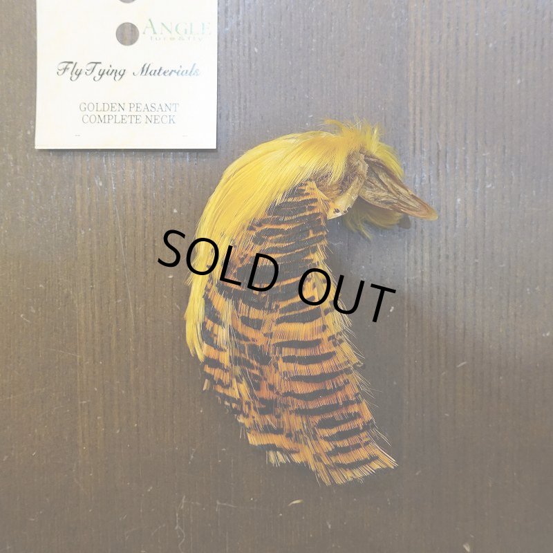 画像1: 【ANGLE】ゴールデンフェザント コンプリートヘッド (1)